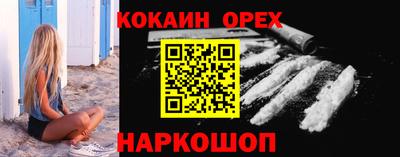дмт Кингисепп
