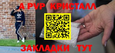 дмт Кингисепп