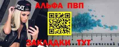 дмт Кингисепп