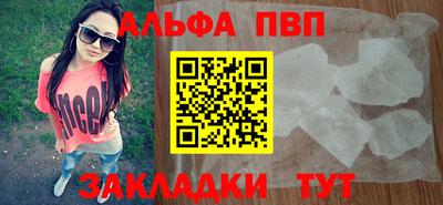 дмт Кингисепп