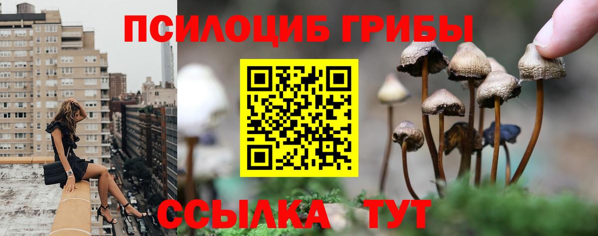 Галлюциногенные грибы MAGIC MUSHROOMS Ухта