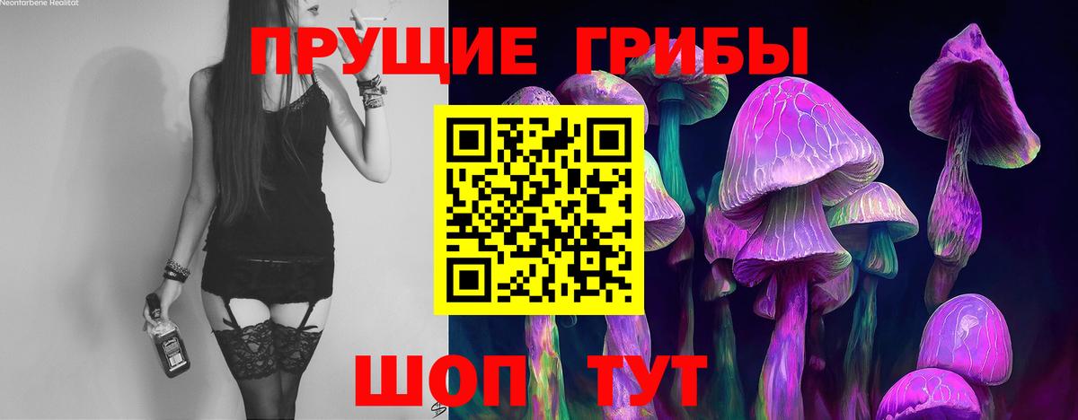 Галлюциногенные грибы Psilocybe  Вход с VPN  Ухта  Галлюциногенные грибы GOLDEN TEACHER 